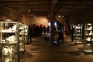 Ausstellungen